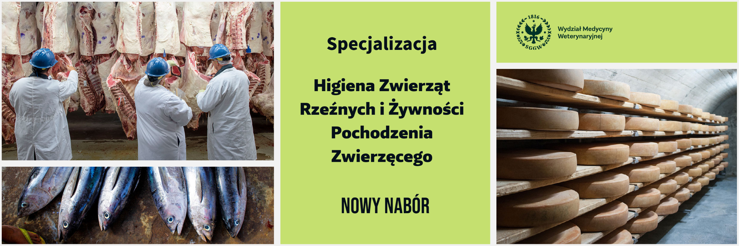 Baner specjalizacja higiena zwierząt rzeźnych