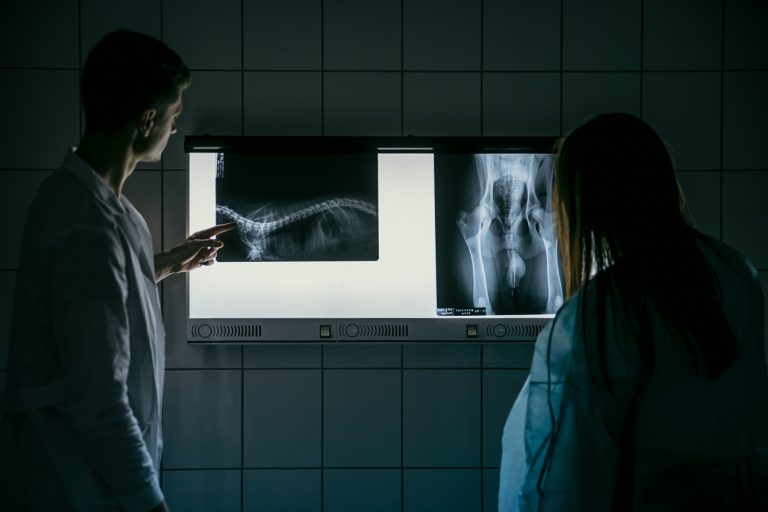 studenci_sggw_laboratoria_i_szklarnie_00019