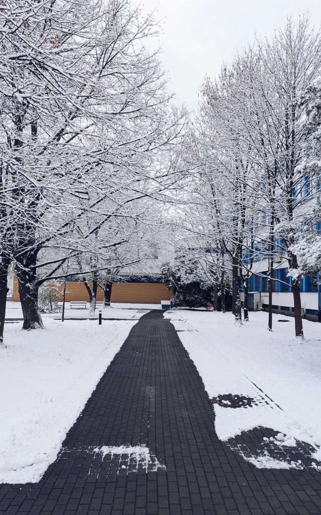 PXL_20241122_081943873_edited